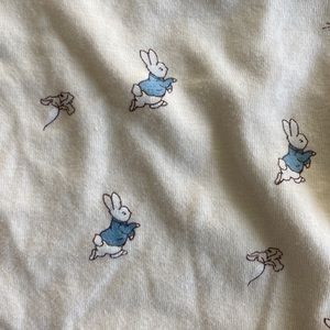 Peter Rabbit Onsie